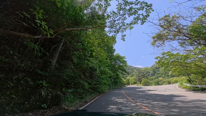 頼朝ライン